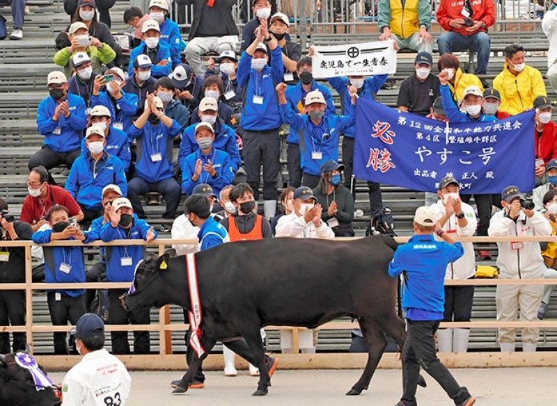 đội cổ vũ của tỉnh Kagoshima đội cổ vũ của tỉnh Kagoshima